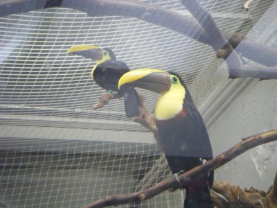 Résultat de recherche: divers