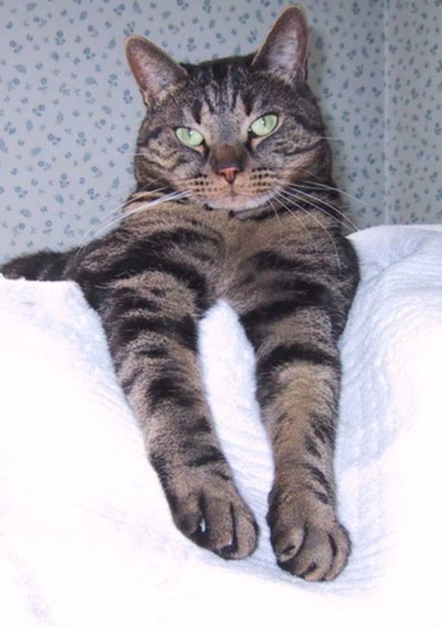 Résultat de recherche: divers