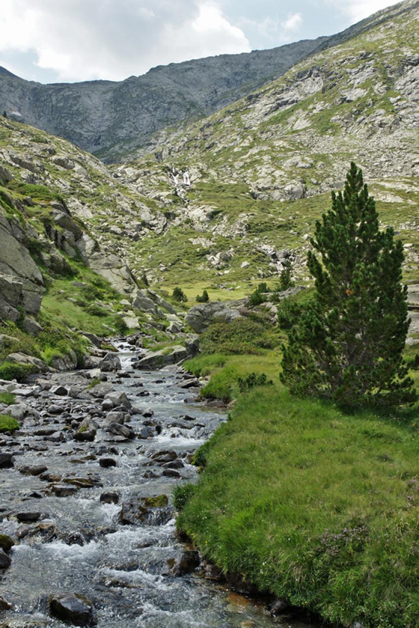 Dans le Néouvielle (Hautes Pyrénées)