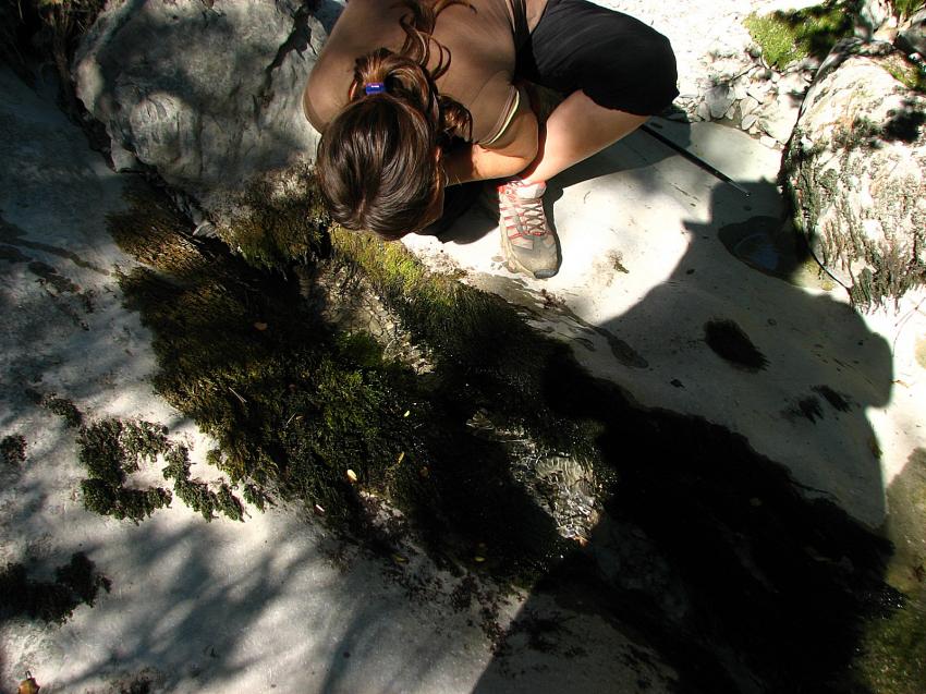 Résurgeance de l'Alauzon ...