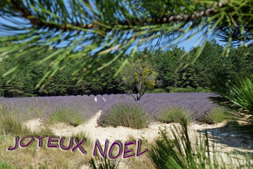 JOYEUX NOEL