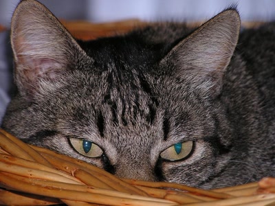 Résultat de recherche: divers