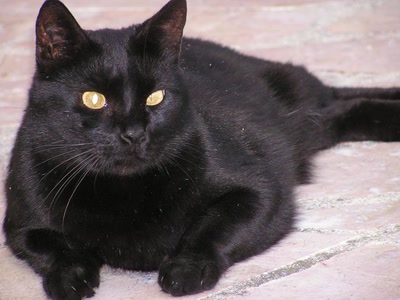 Résultat de recherche: divers