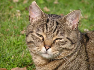 Résultat de recherche: divers