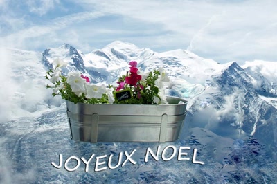 JOYEUX NOEL