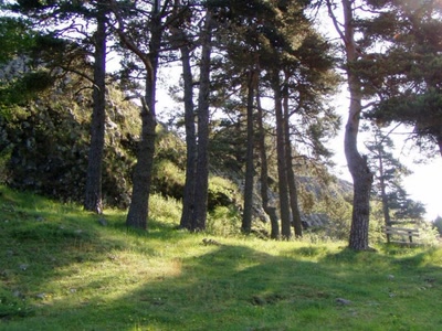 Résultat de recherche: roc de peyre