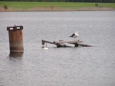Résultat de recherche: divers
