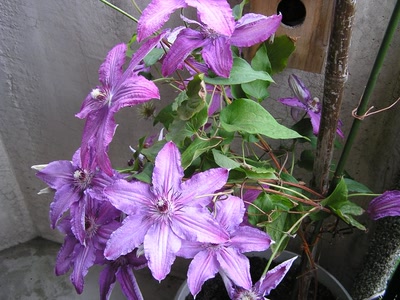 Résultat de recherche: divers