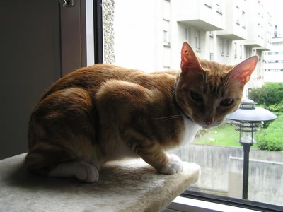 Résultat de recherche: photos