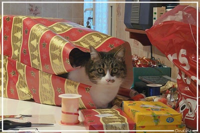 Œuvre de Ondine: Chipie s'emballe !