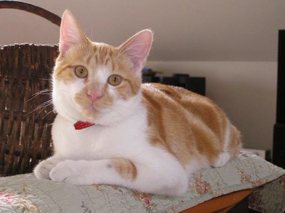 Résultat de recherche: DIVERS