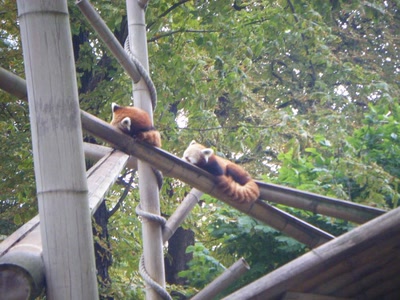 Résultat de recherche: DIVERS