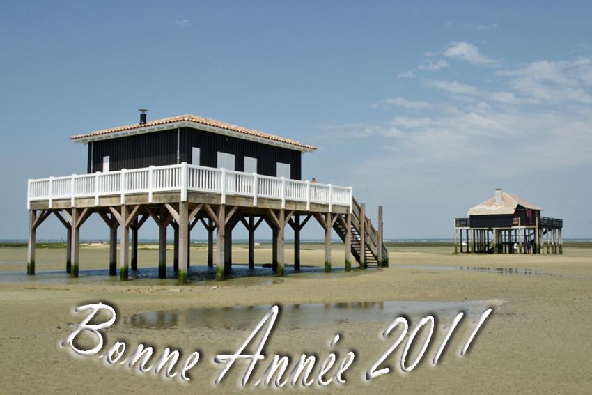 Bonne année à tous