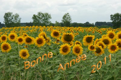 Bonne année à tous