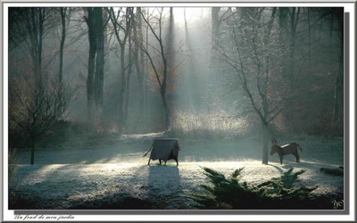 Œuvre de Chasseur de Temps: Au fond de mon jardin