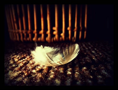 échappée de l'oreiller