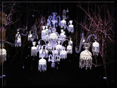 Œuvre de biotrans: Vitrine  