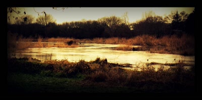 et la vieille Loire serpente...