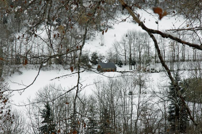 Neige à Azet ( Hautes Pyrénées)
