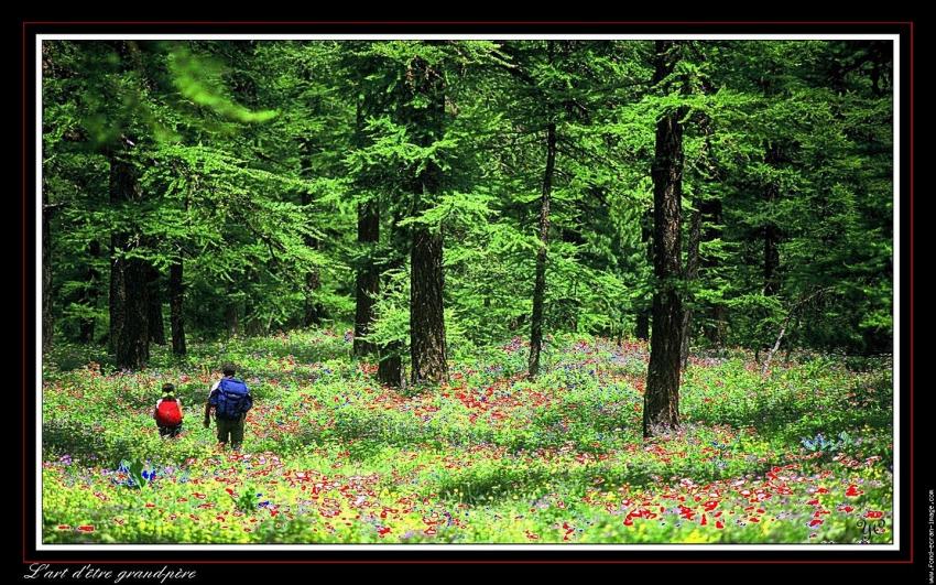 Cultiver l'art d'être grand-père