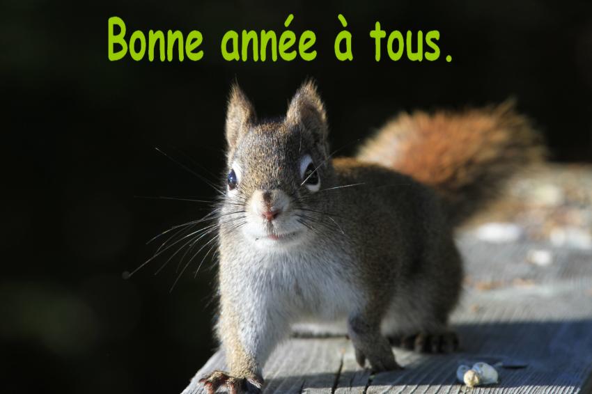 Bonne année à tous.
