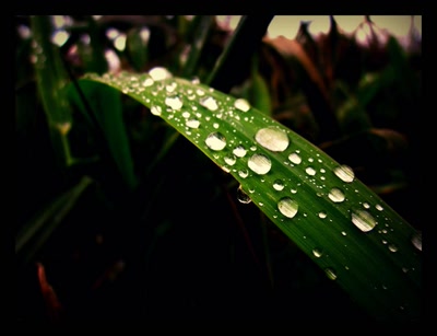 mieux que des boules de Noël