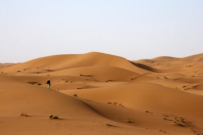 Résultat de recherche: TREK Sud Marocain