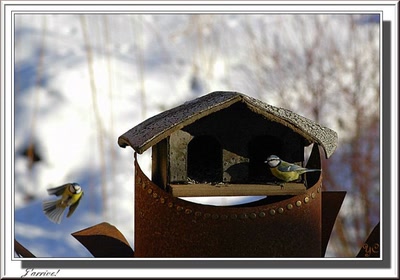 Œuvre de Chasseur de Temps: J'arrive !
