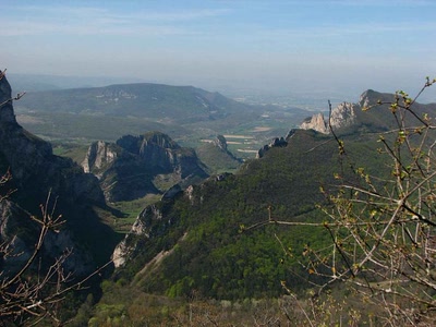 Résultat de recherche: Du grand Pomerolle