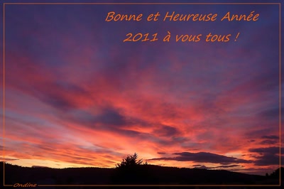 Œuvre de Ondine: Meilleurs Voeux !