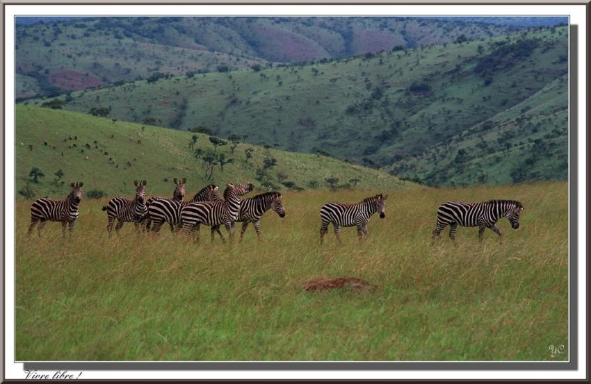 "Je voulais vous dire" : Vivre libre !