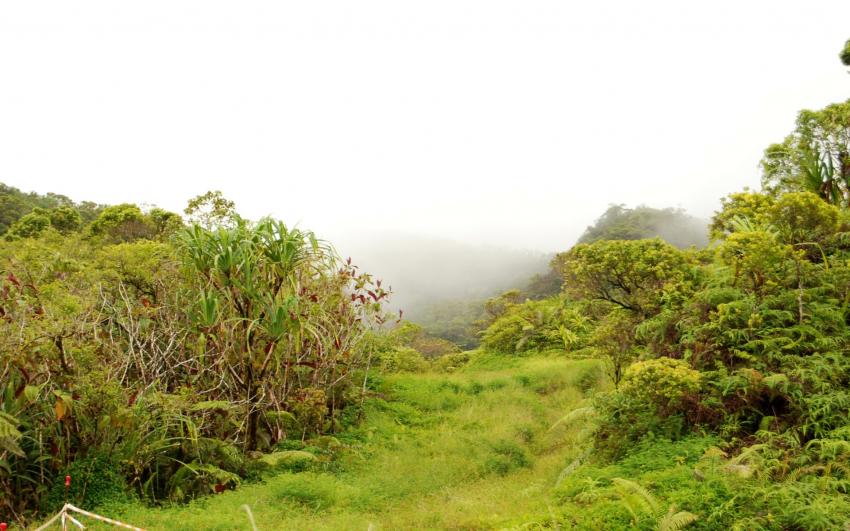 Chemin des lavatubes