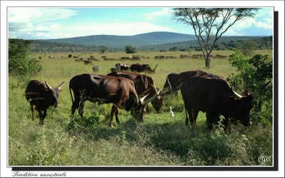 Œuvre de Chasseur de Temps: "Je voulais vous dire"  Tradition ancestrale