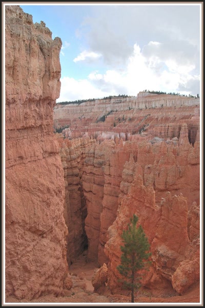Résultat de recherche: Bryce Canyon