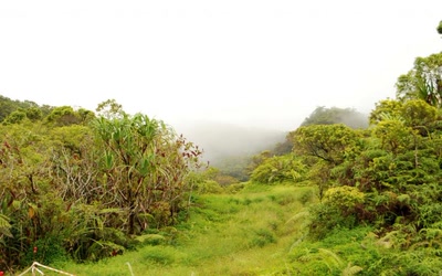 Œuvre de toe: Chemin des lavatubes