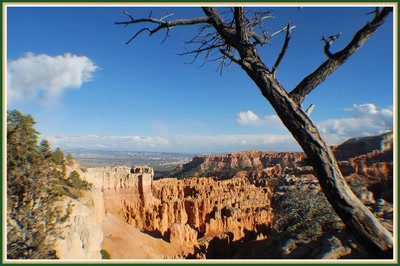 Résultat de recherche: Bryce Canyon