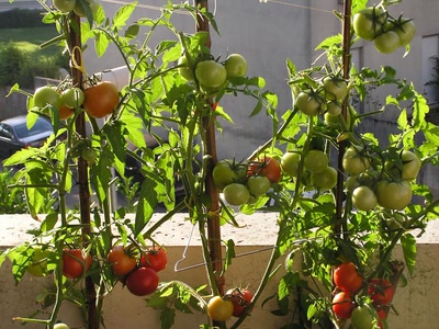 Résultat de recherche: Divers