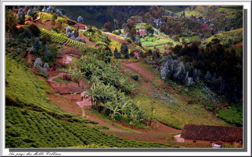 "Je voulais vous dire"  Au Pays des Mille Collines