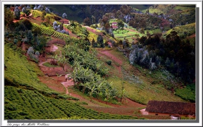 "Je voulais vous dire"  Au Pays des Mille Collines