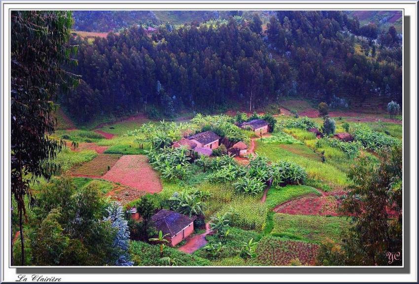 "Je voulais vous dire"  La clairière