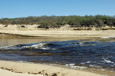 Résultat de recherche: Le Courant d'Huchet (Landes)