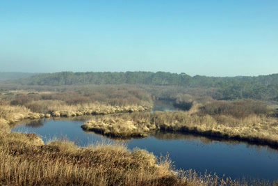 Résultat de recherche: Le Courant d'Huchet (Landes)
