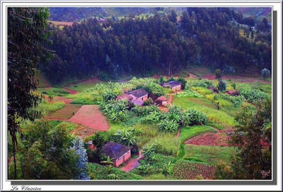 "Je voulais vous dire"  La clairière