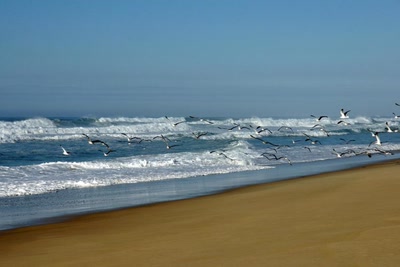 Résultat de recherche: Le Courant d'Huchet (Landes)