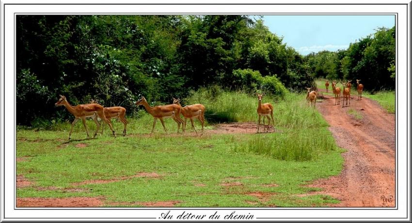 "Je voulais vous dire"  En toute tranquilité 