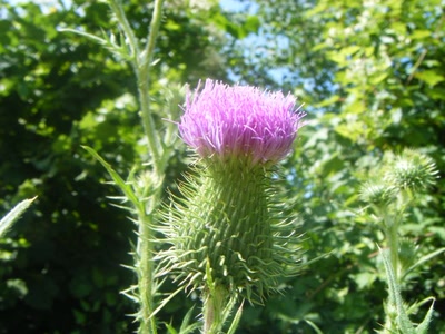 Résultat de recherche: Divers