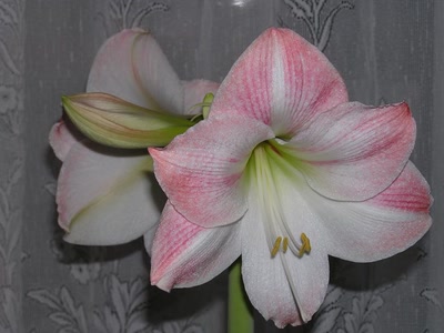 Résultat de recherche: Divers