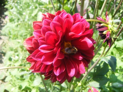 Résultat de recherche: Divers