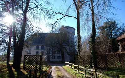 Résultat de recherche: chateau de Grézieux le Fromental ,Loire 42