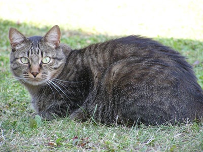 Résultat de recherche: Divers